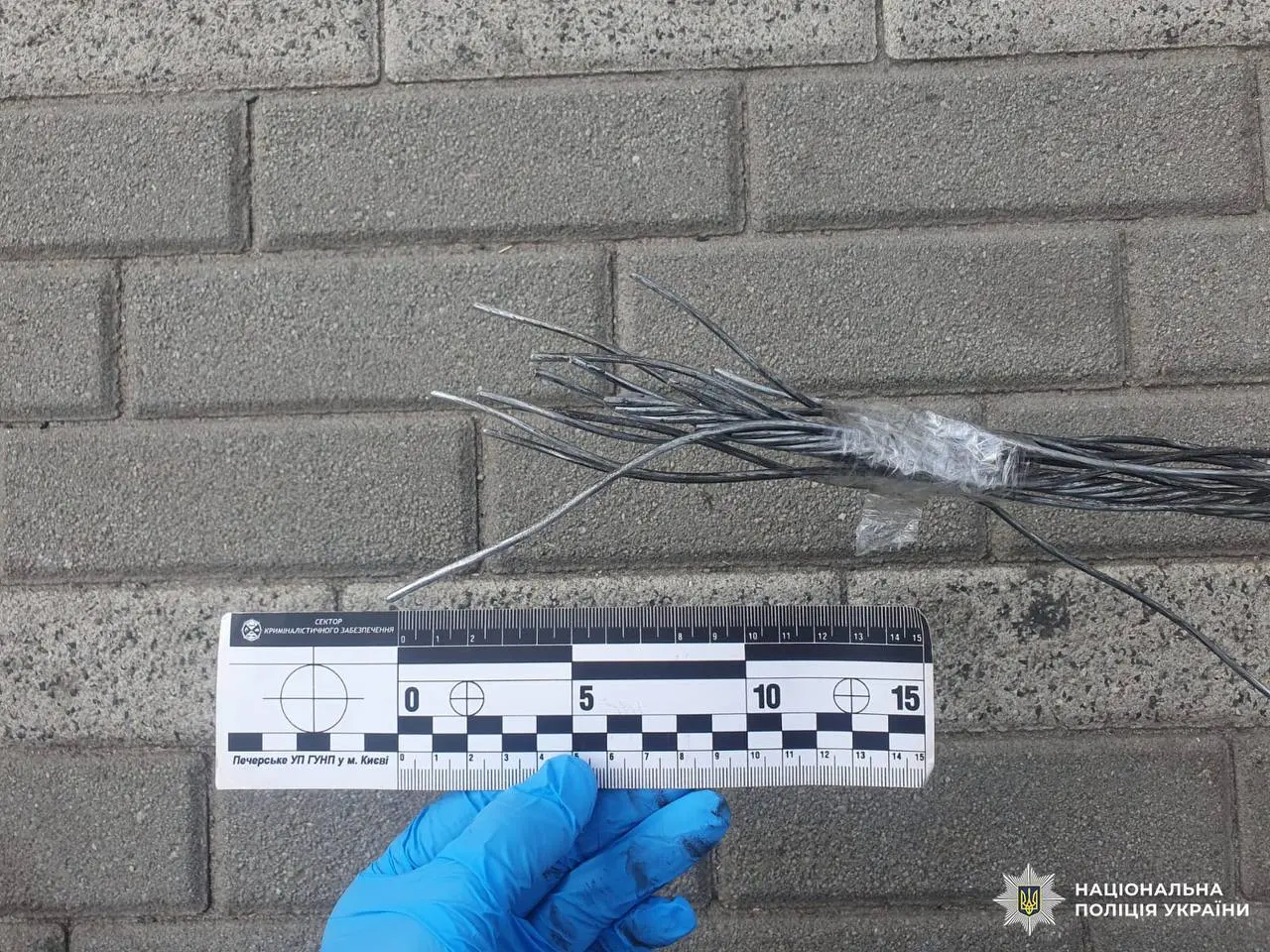 Через загибель юнака на канатній дорозі у Києві судитимуть п’ятьох осіб
