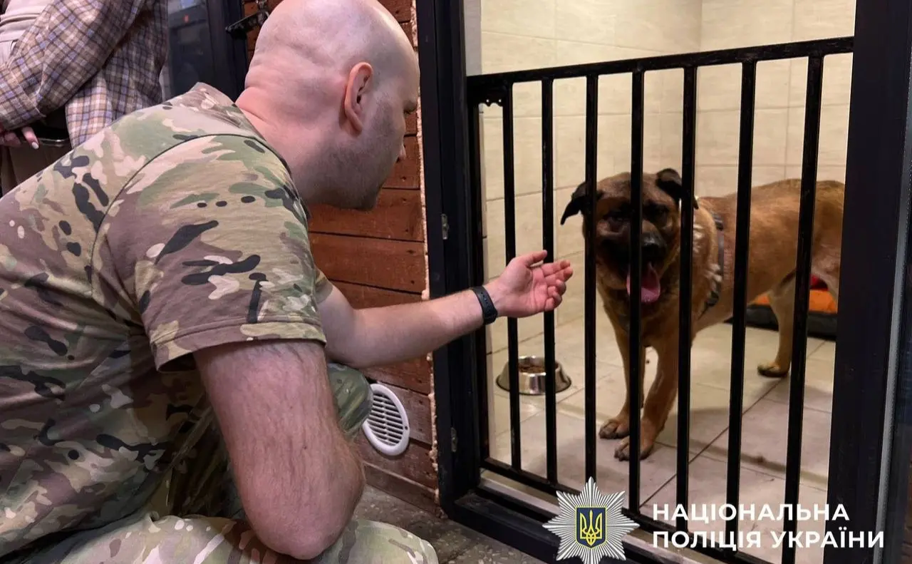 Столична поліція перевірила умови утримання собаки Міши після скарг у соцмережах