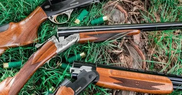 Тернополянина засудили до трьох років в'язниці за вбивство чоловіка на полюванні