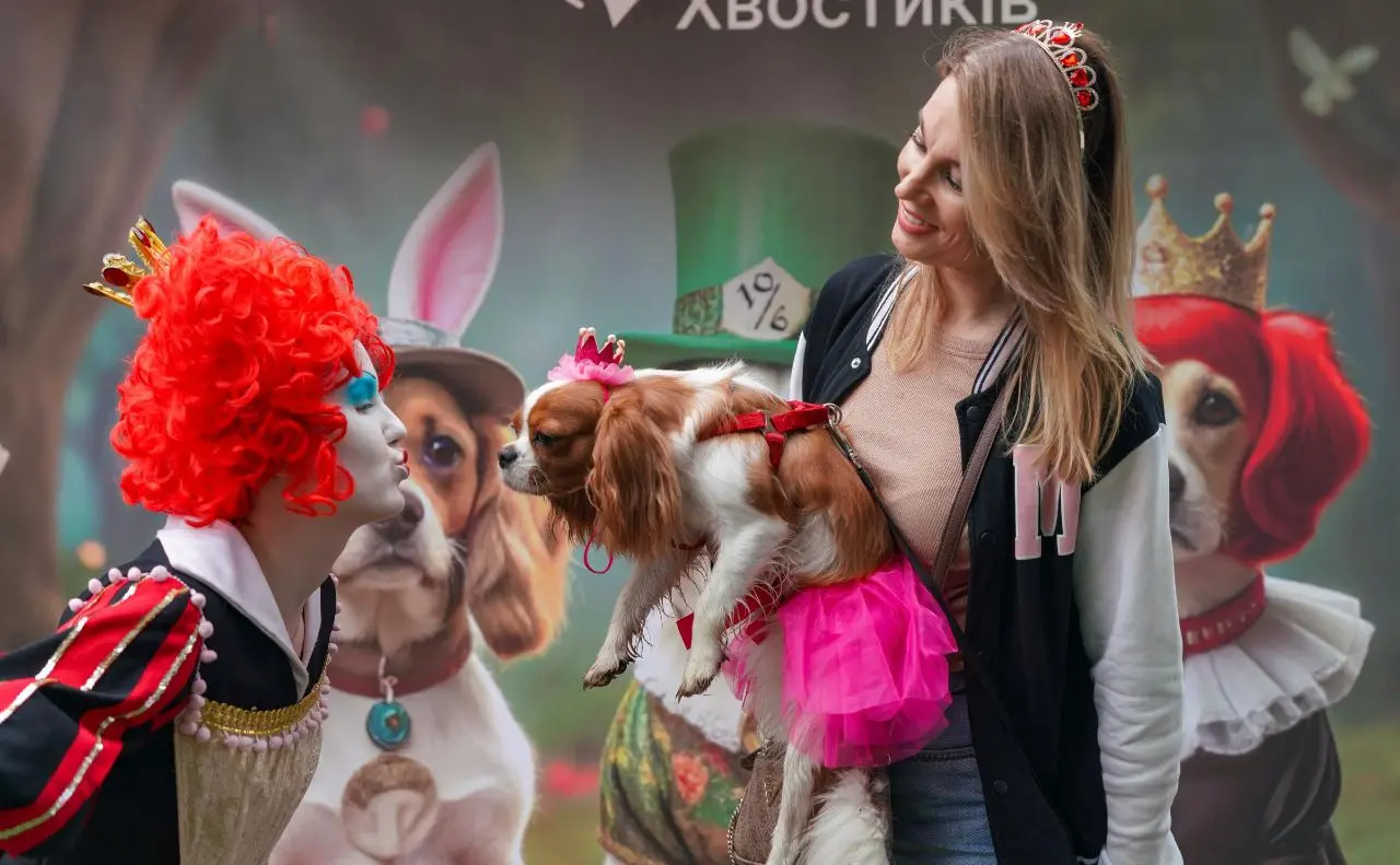 Зображення