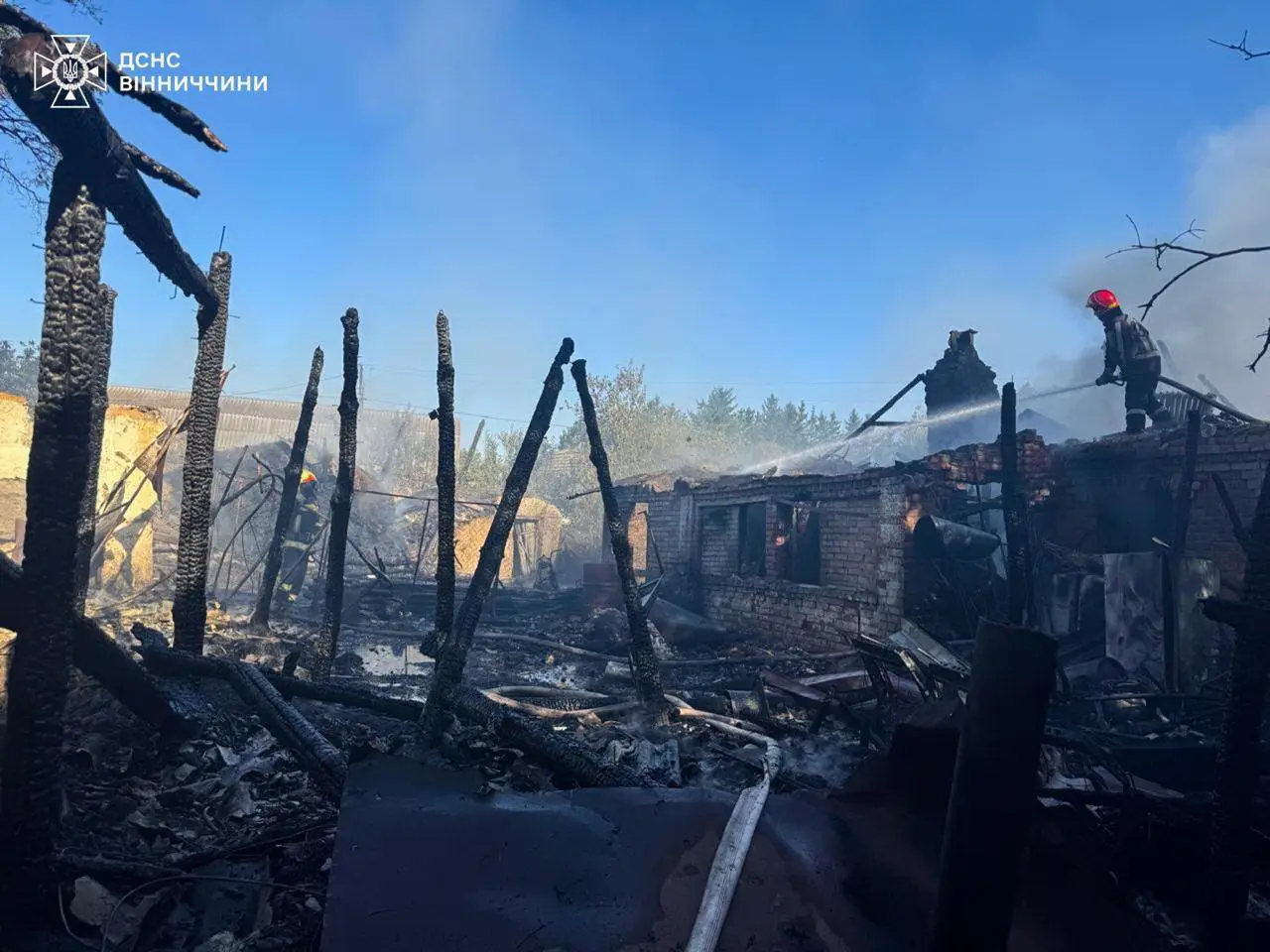 Поголів’я свійських тварин знищила пожежа в селі на Вінниччині