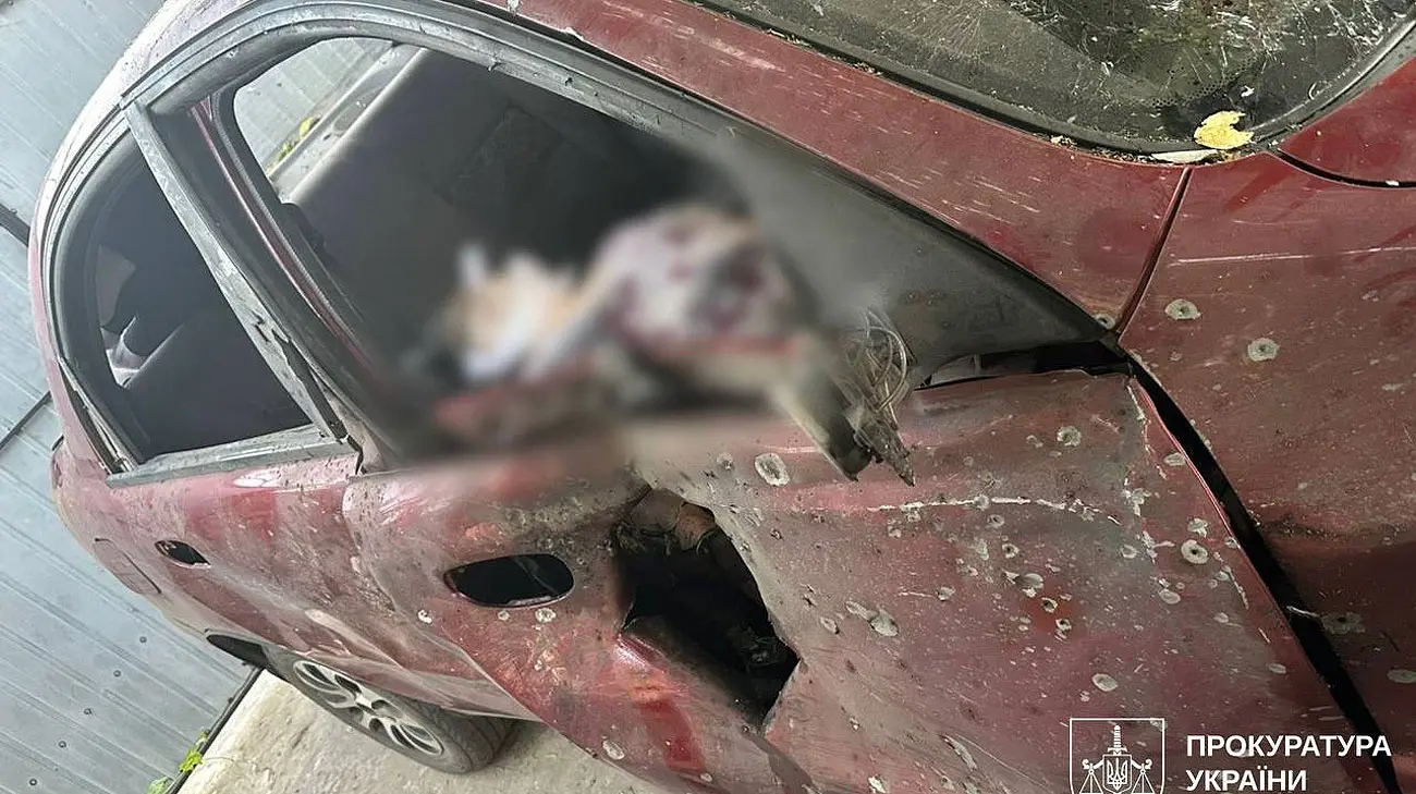 Окупанти убили 5 людей на Запоріжжі, Харківщині та Донеччині