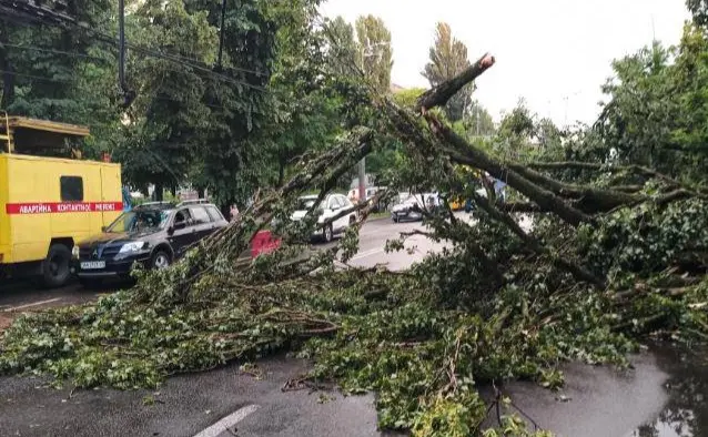 Рятувальники КАРС прибирають повалені дерева після грози в Києві