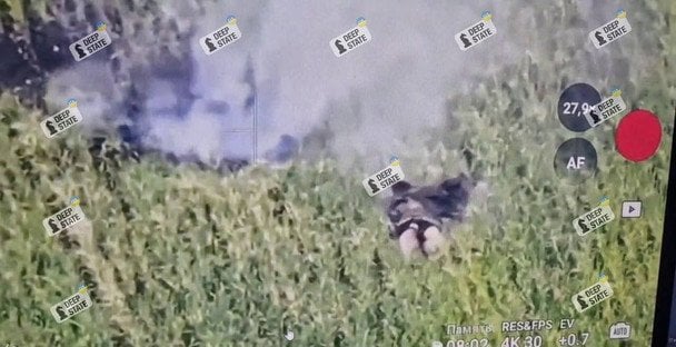 РФ каже про вихід на кордон Дніпропетровщини: яка ситуація насправді