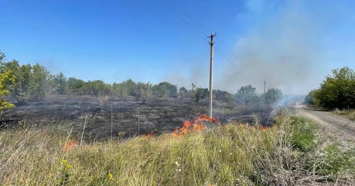 Пожежа трави біля Щурівки загрожує населеному пункту