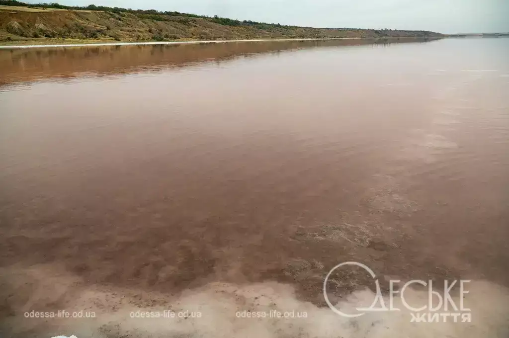 Куяльник під загрозою? Нацпарк розвіяв чутки про «величезну забудову» лиману