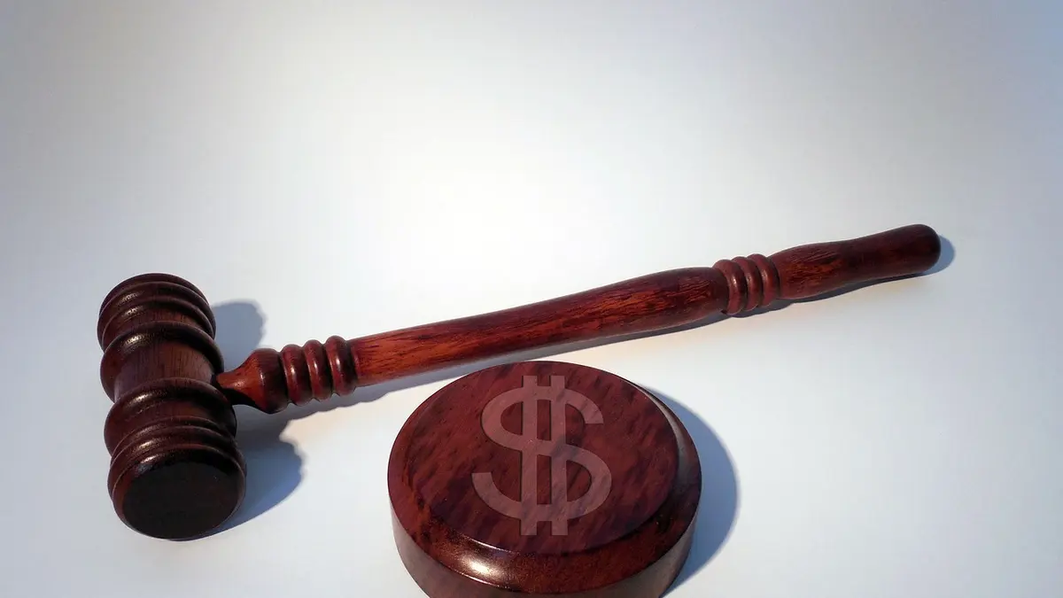 Суд визнав незаконним рішення Київради щодо обмеження створення заповідних зон
