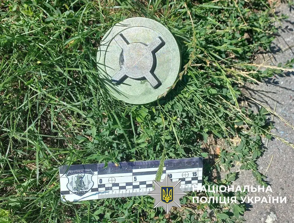 На дитячому майданчику у Святошинському районі знайшли макет міни (фото)