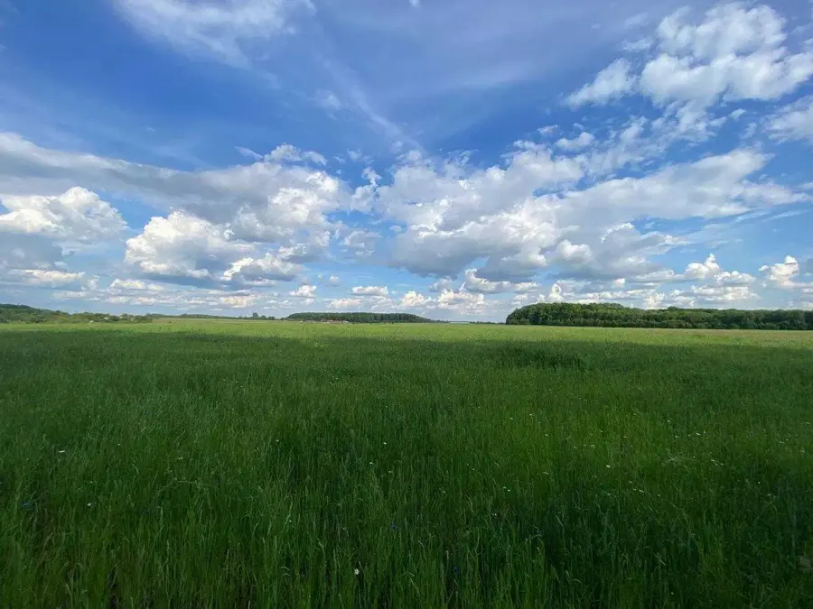 У власність держави на Вінниччині повертають землю, де було «Поселення передскіфського часу»