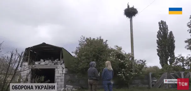 Неймовірна історія: лелечиха загинула, прикривши дітей від уламків "Шахеда", а її вдівець здивував усе село