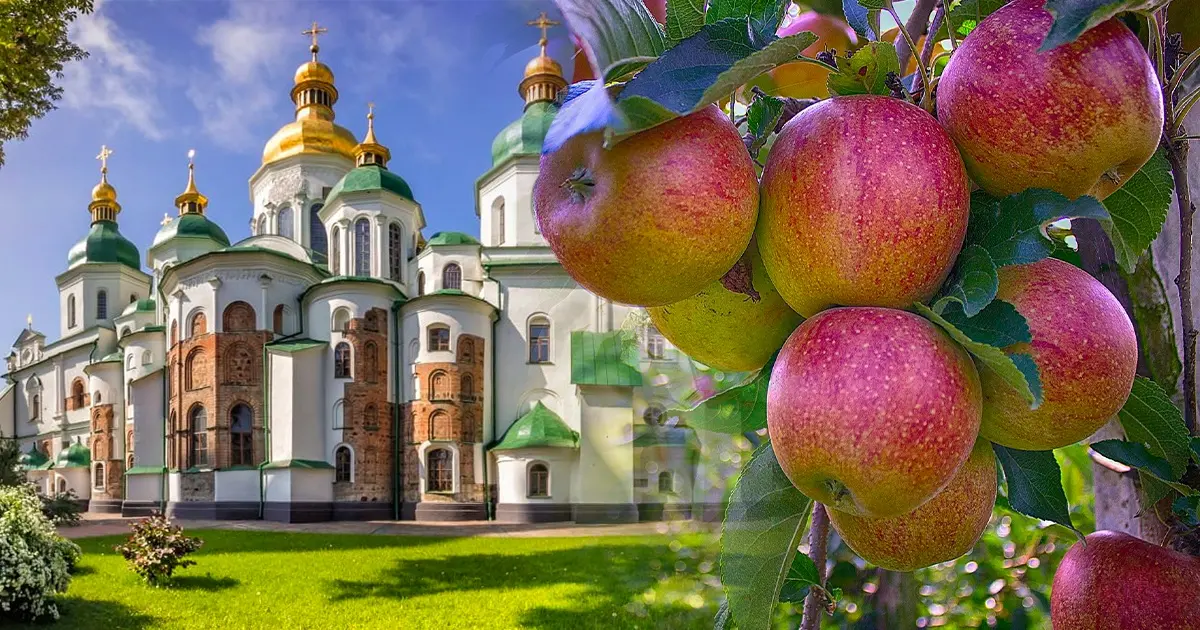 Зображення