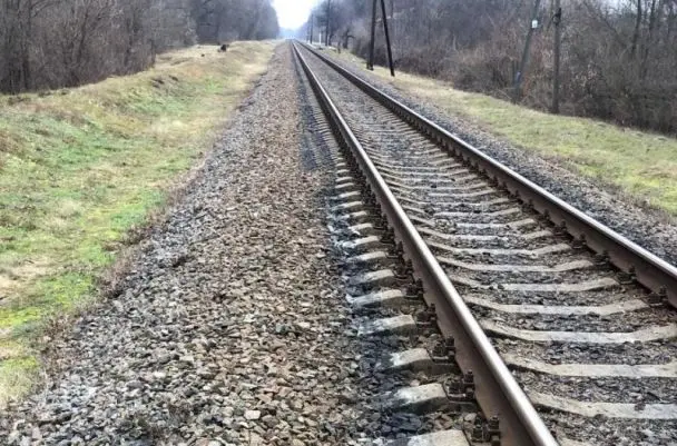 На Київщині поїзд розчавив жінку