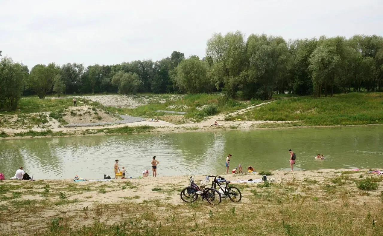 На Синьому озері на Виноградарі обговорили подальшу долю водойми