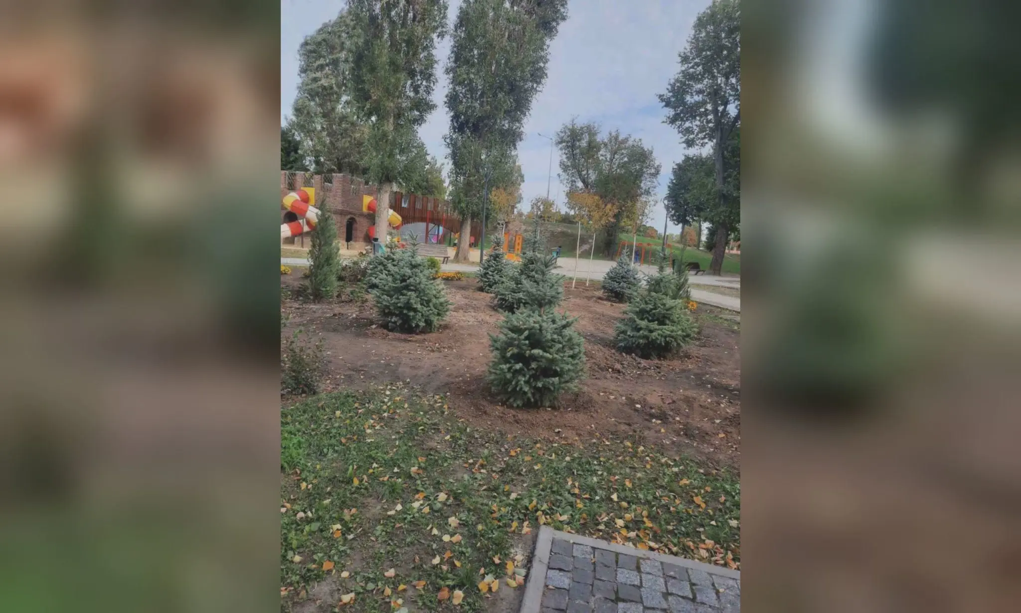 Рідкісні дерева і кущі з’явились у парку в Харкові: фото показала мерія