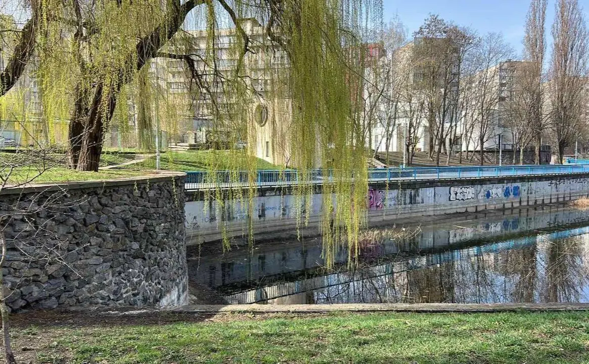 «Плесо» рятуватиме озеро Голубе на Виноградарі попри байдужість науковців