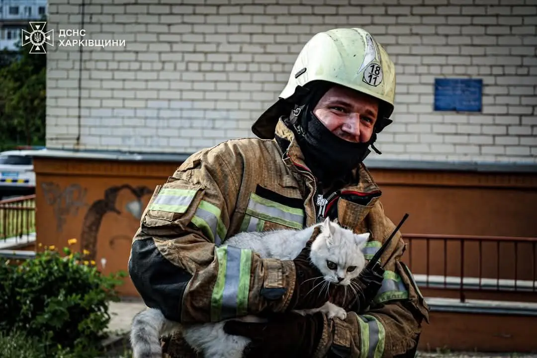 У Харкові горіла 16-поверхівка: із задимлених квартир врятували двох котів