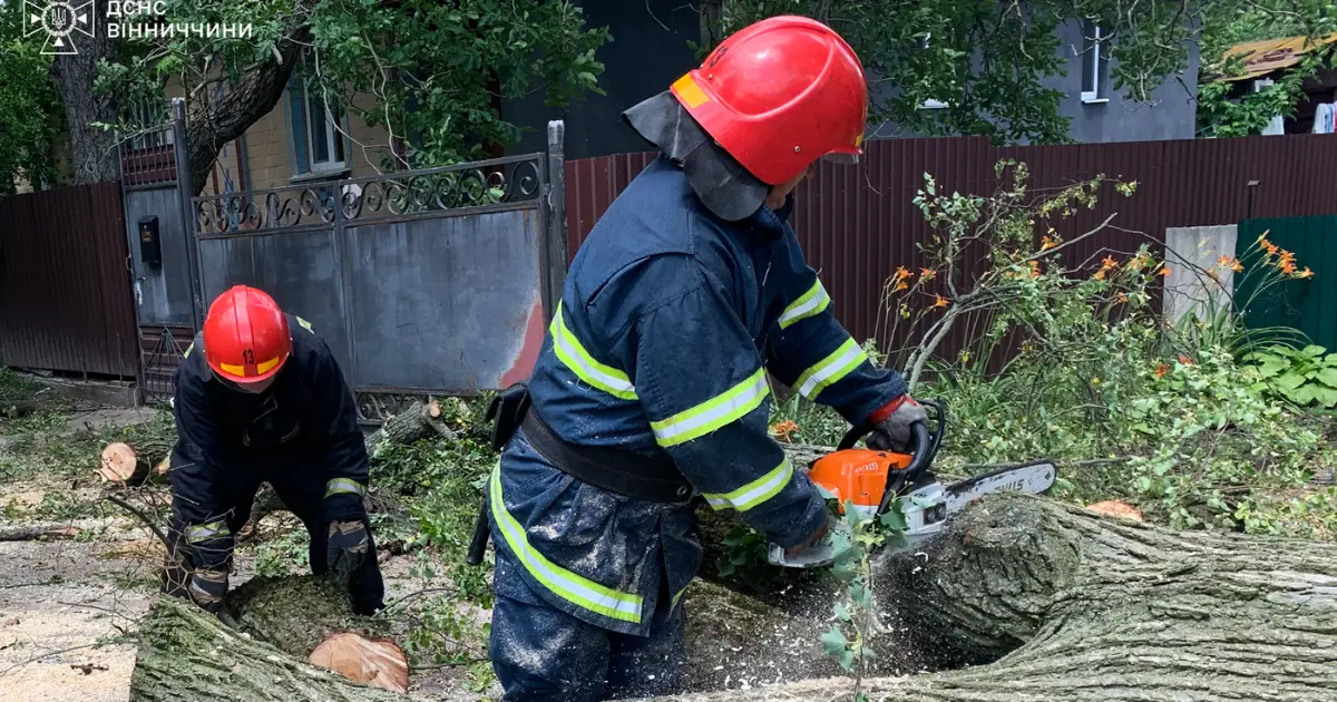 На Вінниччині рятувальники шість разів виїжджали розкряжовувати повалені вітром дерева