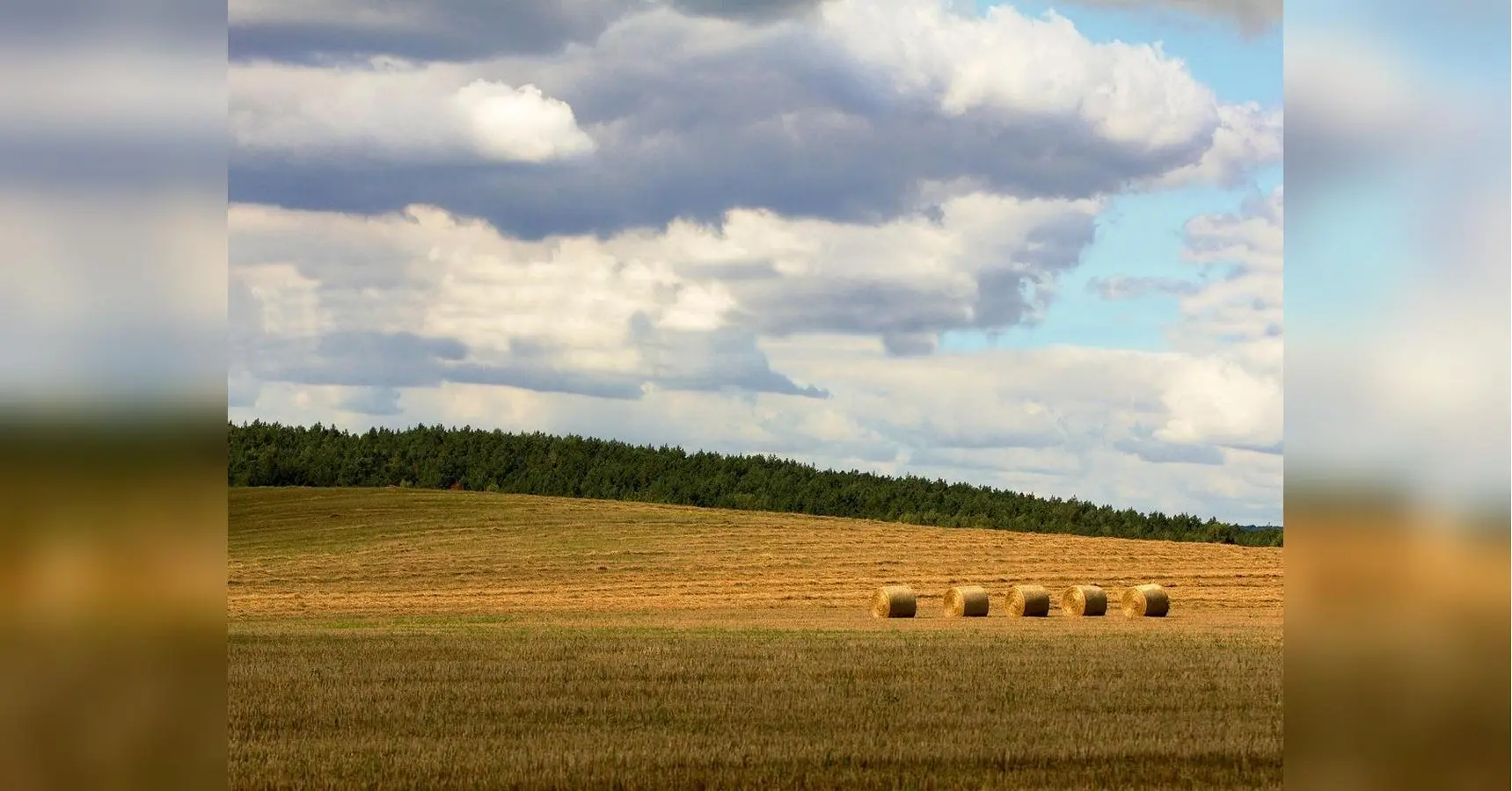 Літо відступає: спека спадає, в Україну йдуть дощі