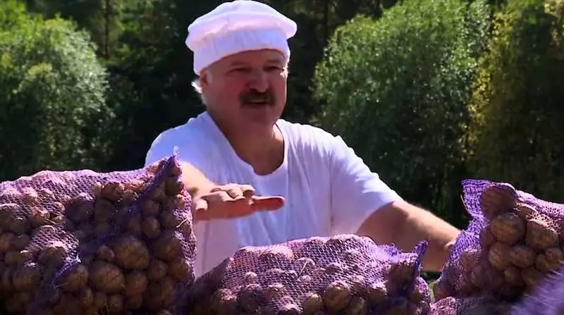 Лукашенко на саміті у Китаї роздарював мішечки з картоплею