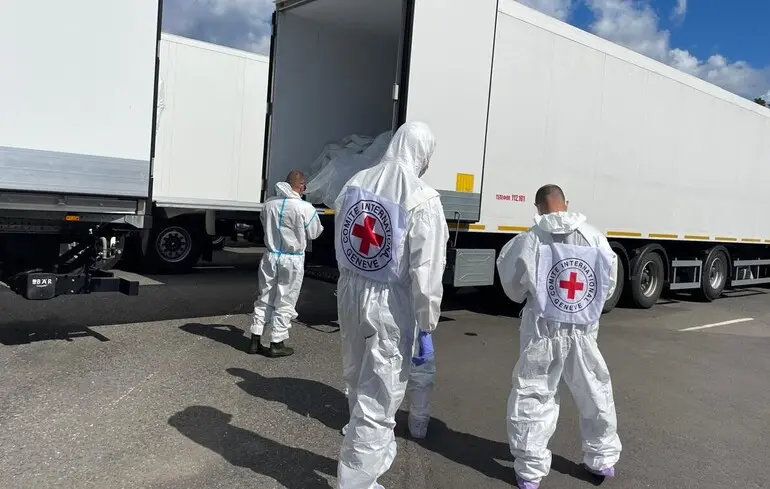 Ідентифікація загиблих українських військових: ДНК та програмне