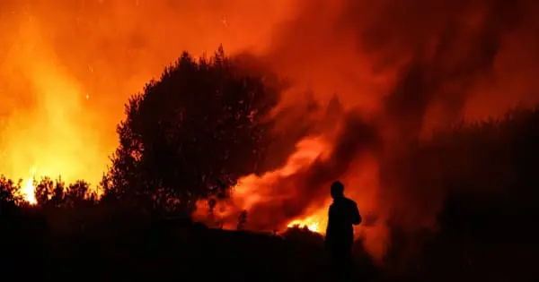 В Греції за добу спалахнули десятки лісових пожеж
