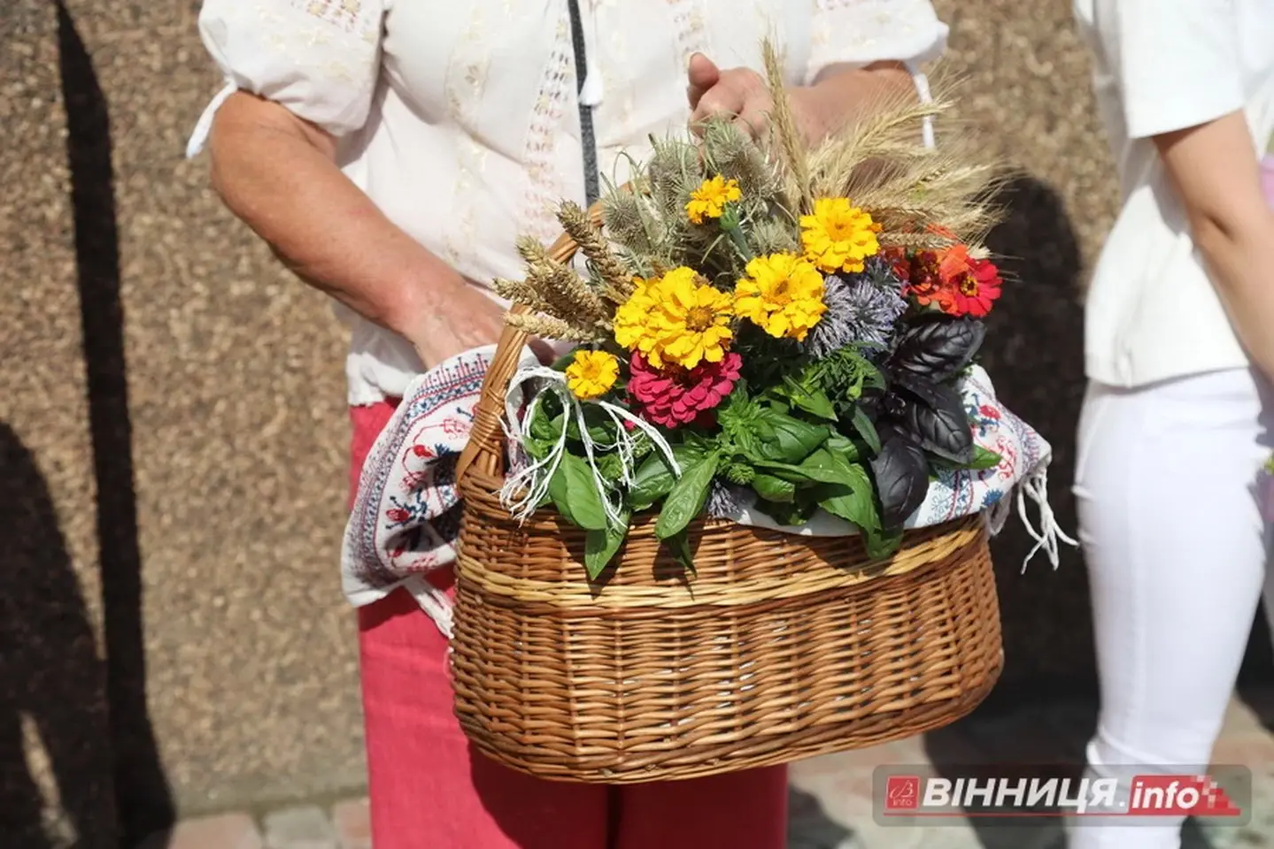 Зображення