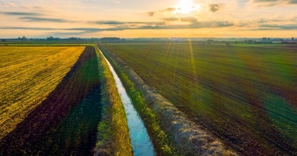 Понад 170 росіян незаконно володіли землею під Києвом