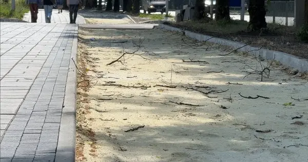 Нові велодоріжки у Львові: план розвитку веломережі