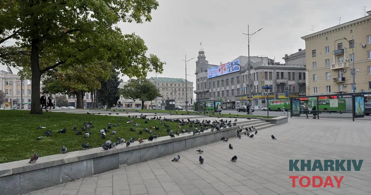 Харків готується до свят: обмеження паркування