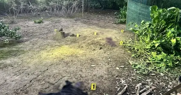 На Закарпатті від вибуху гранати підлітку відірвало руку та ногу