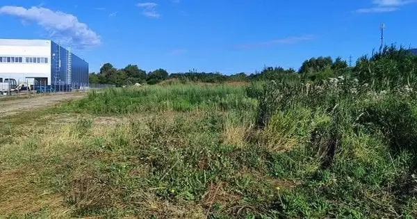 Львівська міськрада продала дві земельні ділянки для бізнесу за 41,5 млн грн