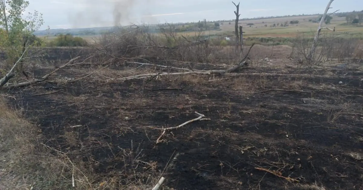 Від удару ворожого дрона у Харківській області загинула людина