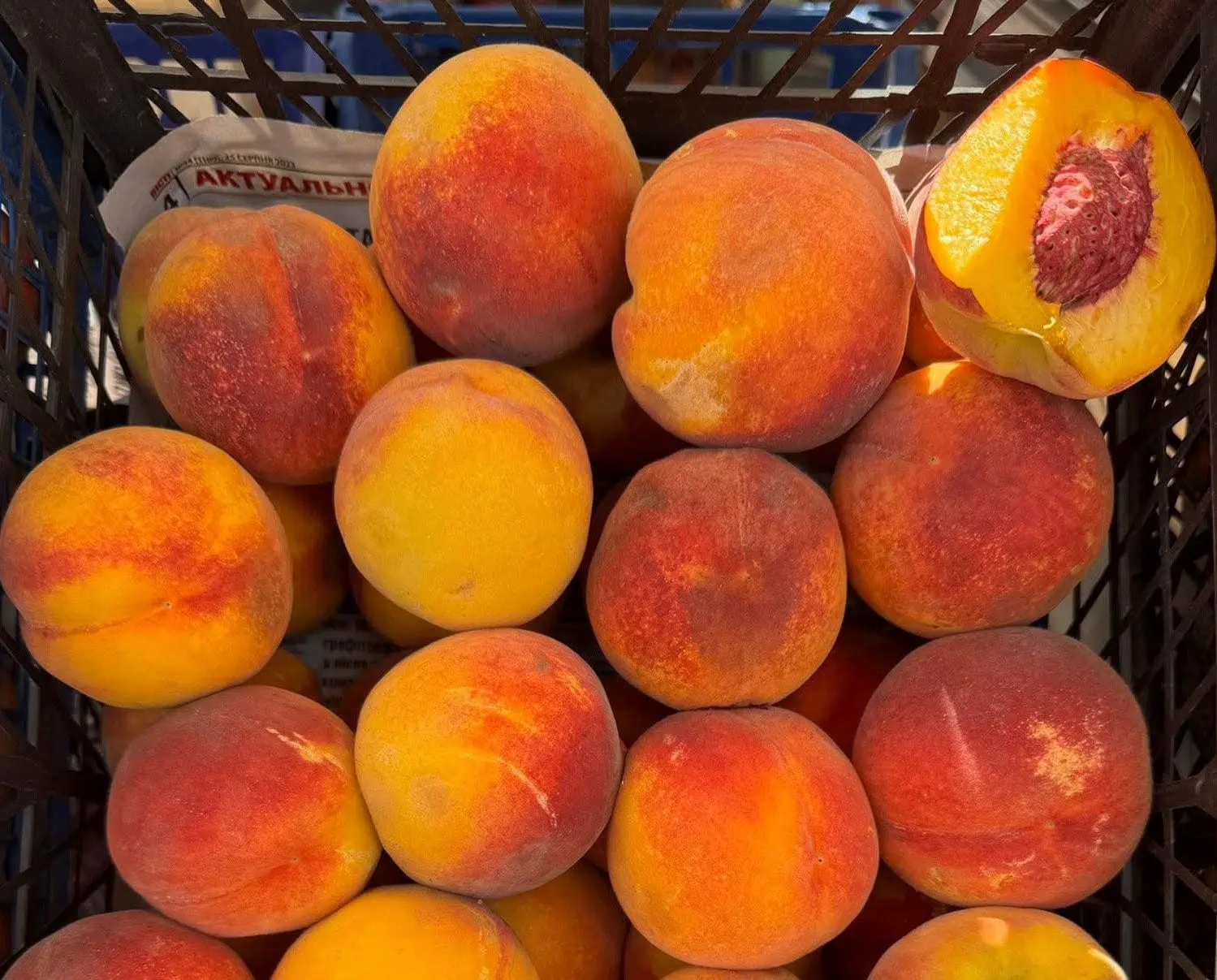 Київські ярмарки: свіжі продукти від фермерів цього тижня