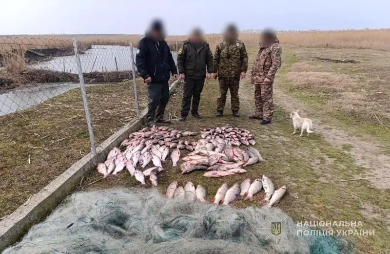 Зображення