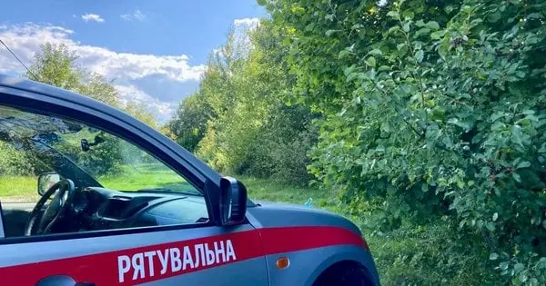 На Прикарпатті третю добу шукають місцеву мешканку, яка з донькою зникла у лісі