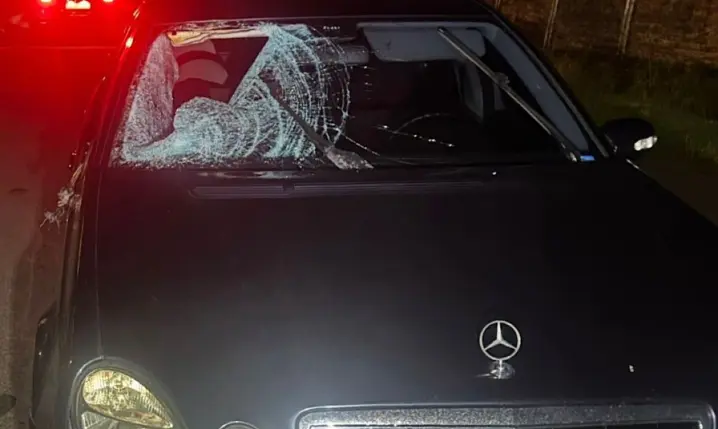 Загинув на місці ДТП. На Буковині водій на "Mercedes-Benz" збив пішохода