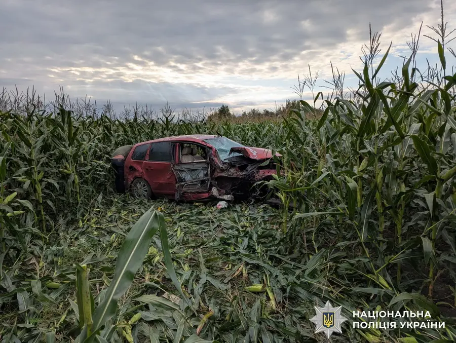 На Вінниччині дві машини опинились в полі кукурудзи, водії були без прав