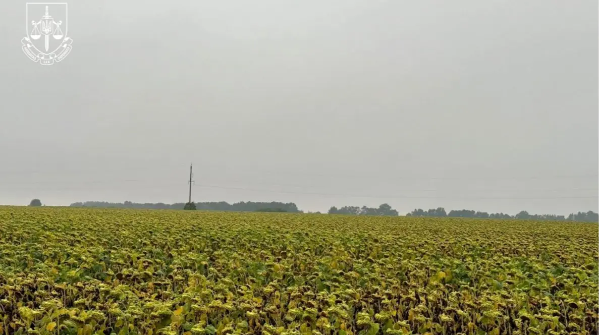 В Україні продавали врожай культур, вирощених на радіоактивно забруднених землях Житомирщини