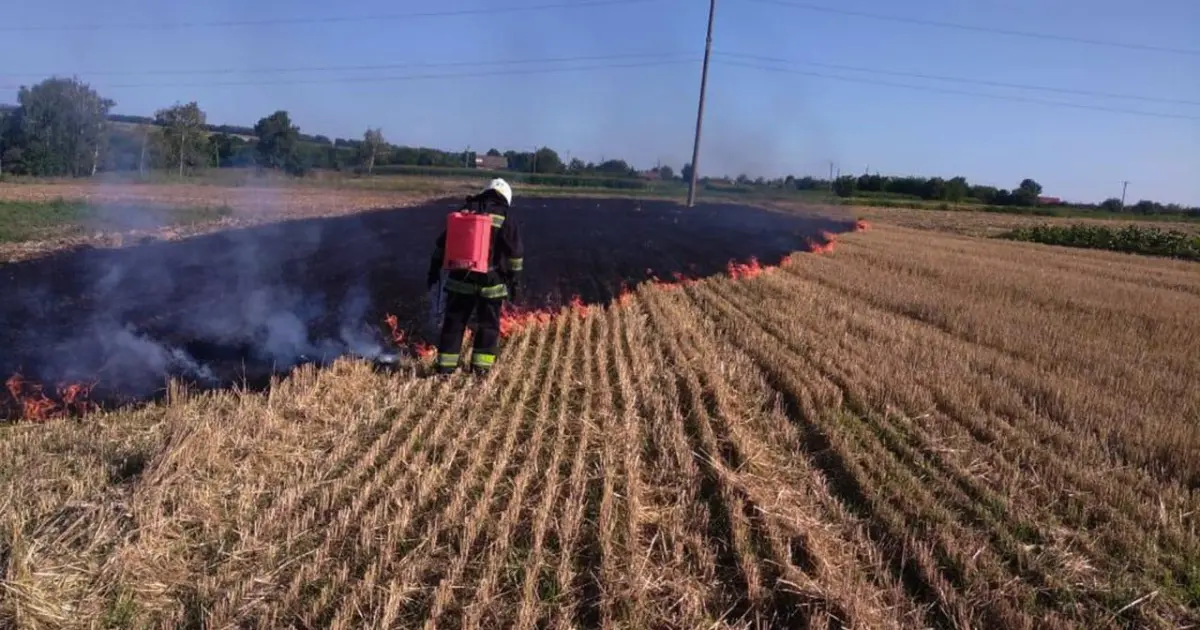 Пожежі на Вінниччині: 19 випадків за добу