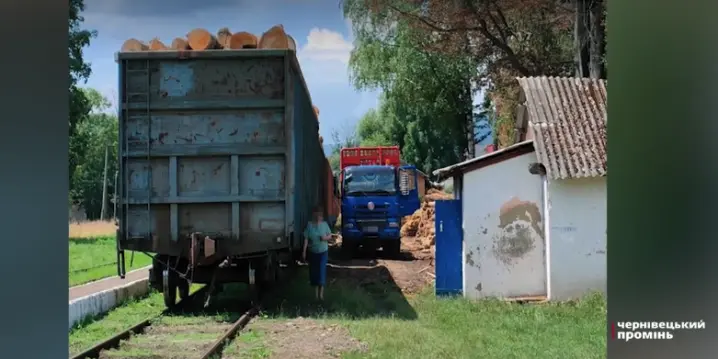 На Буковині викрили керівника підприємства, який незаконно збував деревину закордон