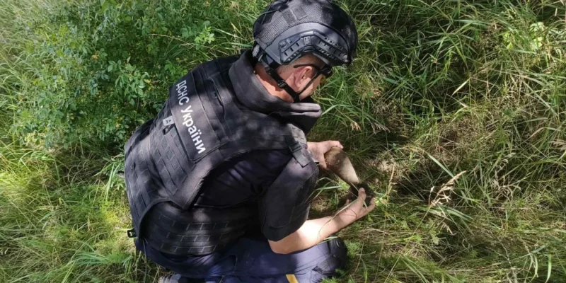На Вінниччині знищили боєприпас часів Другої світової