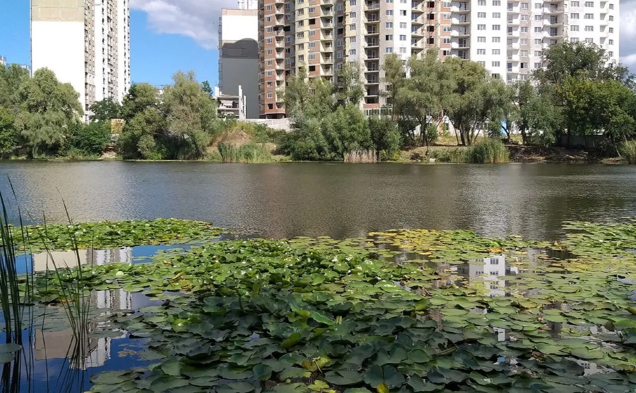 Зображення