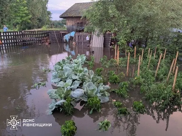 "Море" у дворі, дерева на дорогах: що накоїла негода у п’яти областях України (фото)