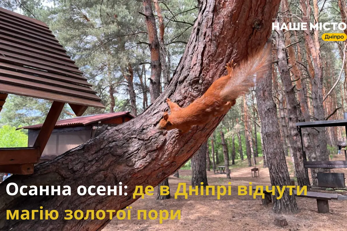 Осанна осені: де в Дніпрі відчути магію золотої пори