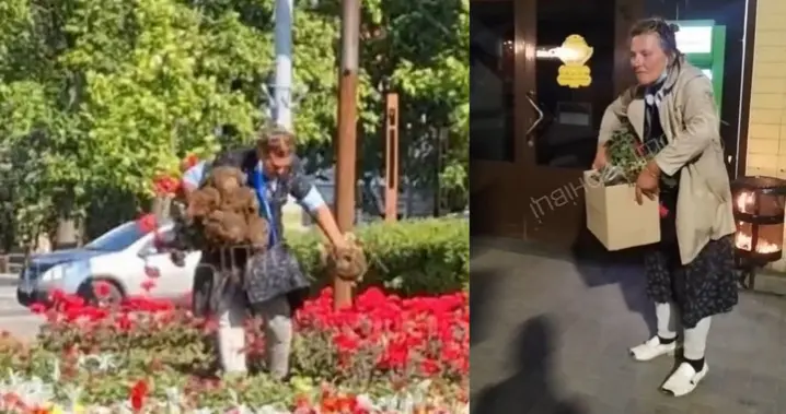 Зображення