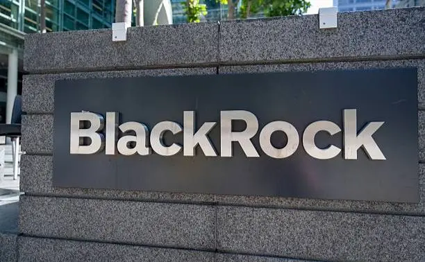 Компанія BlackRock припинила пошук інвесторів для відновлення України — Bloomberg