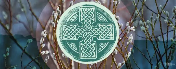 Овнам варто додати обачності, а Тельців очікують випробування: кельтський гороскоп дерев на 13 червня 2025 року