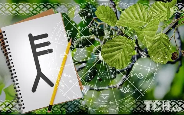 Кельтський гороскоп на 12 серпня 2025: Поєднання дії та чутливості