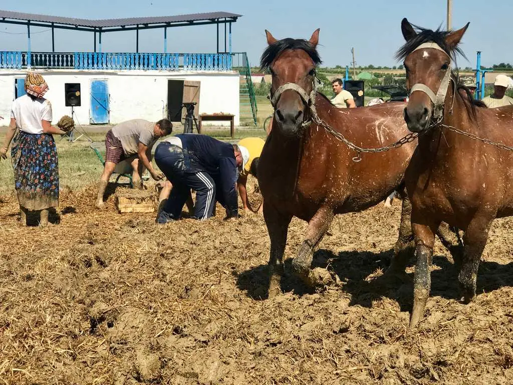 Будівництво в Рені: Традиції та майстерність предків