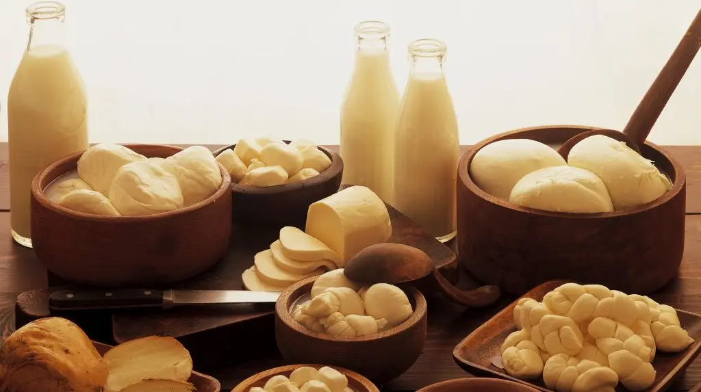  Україна скоротила експорт молочних продуктів та наростила їхній імпорт 